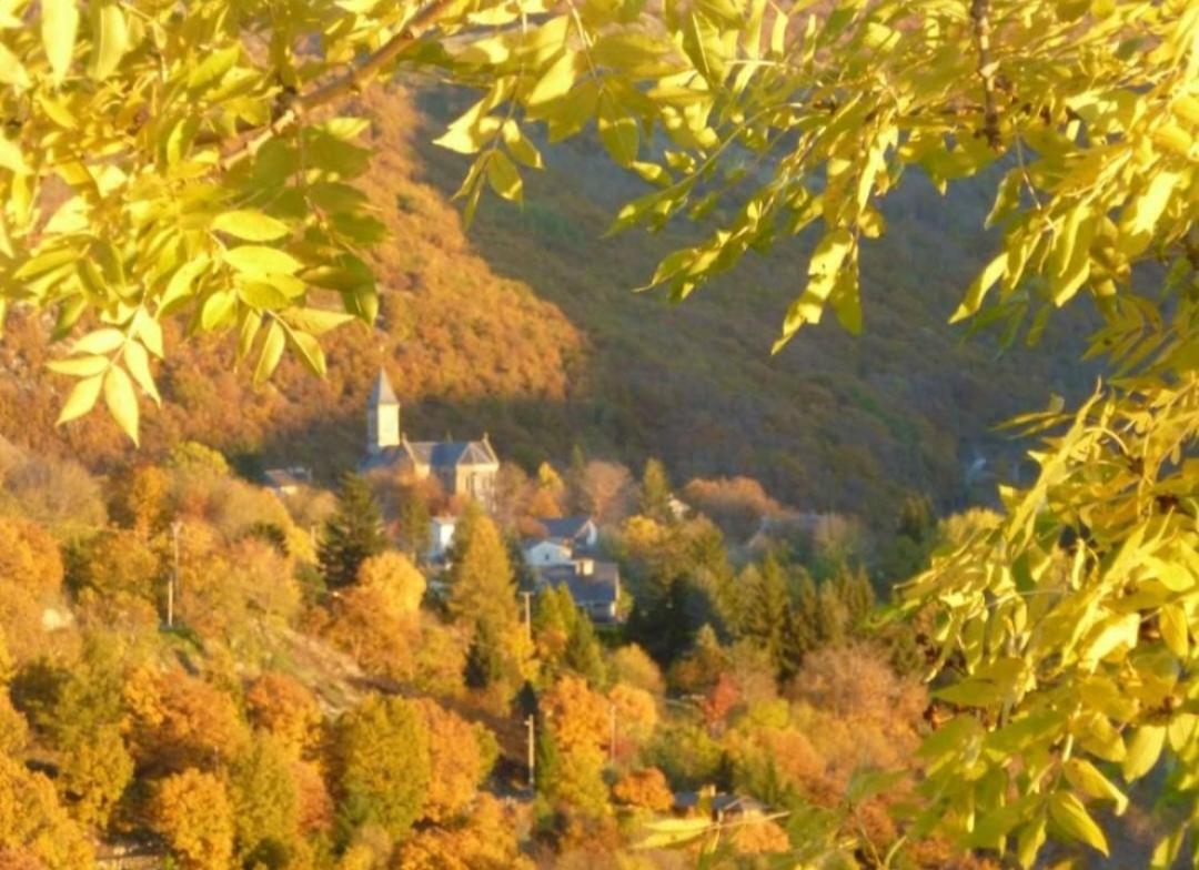 Bed and Breakfast La Bouletiere Dourbies Exterior foto