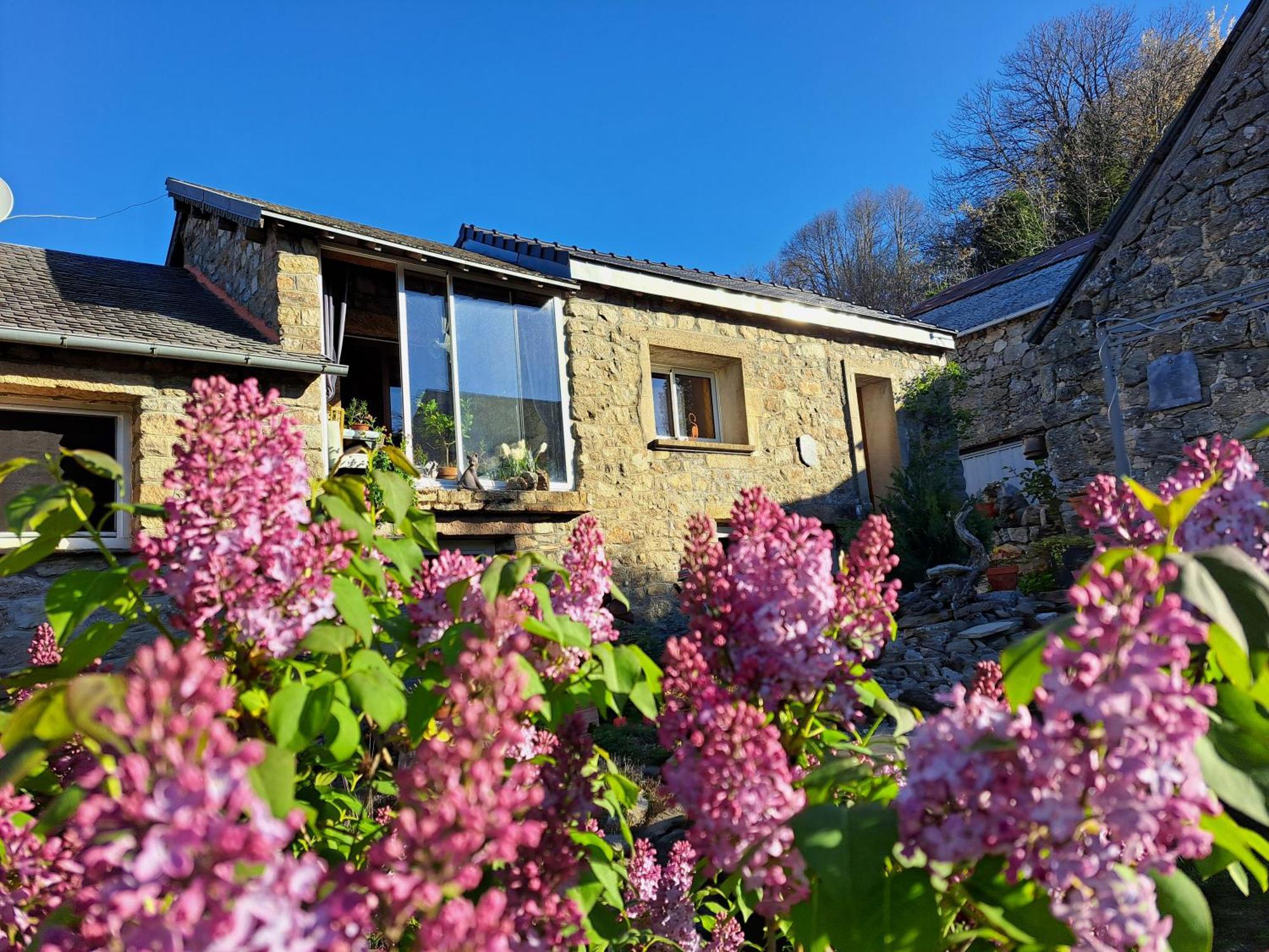 Bed and Breakfast La Bouletiere Dourbies Exterior foto